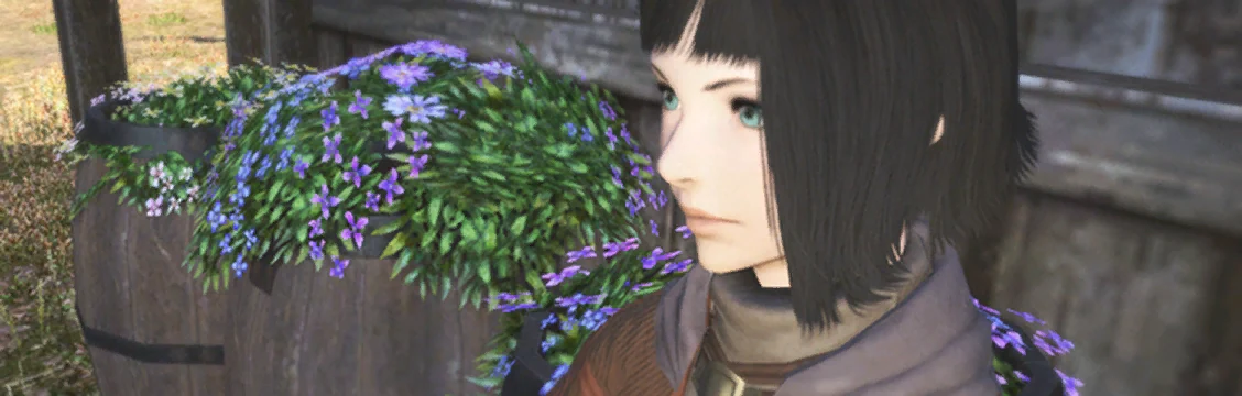 The Kindness of Strangers, the picture in the game's Journal