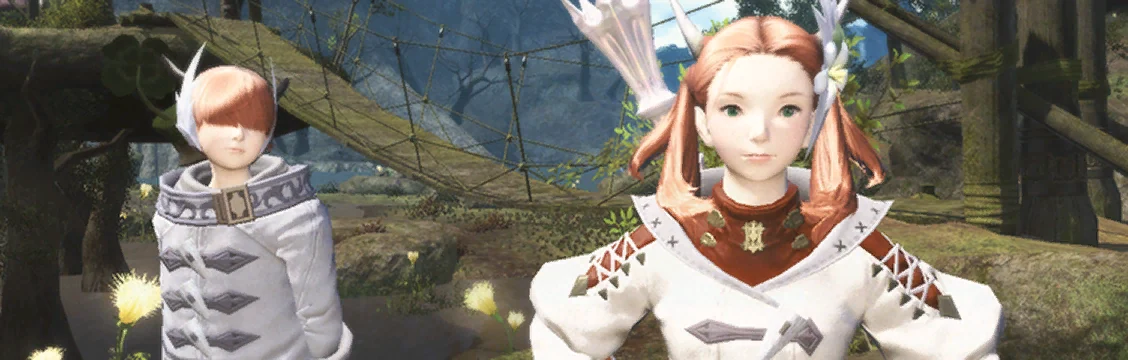 Seer Folly, the picture in the game's Journal